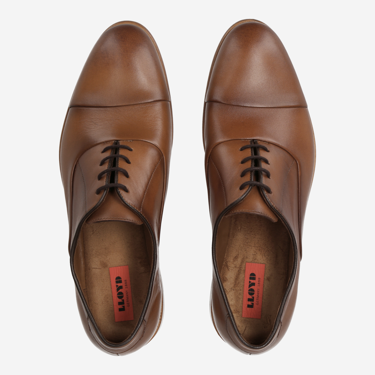 Lloyd 14-142-23 TEX Lace-up shoes in brown buy online