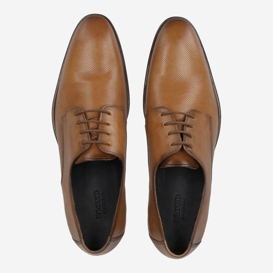 Lloyd OHIO - Brown / Hazelnut - Back view