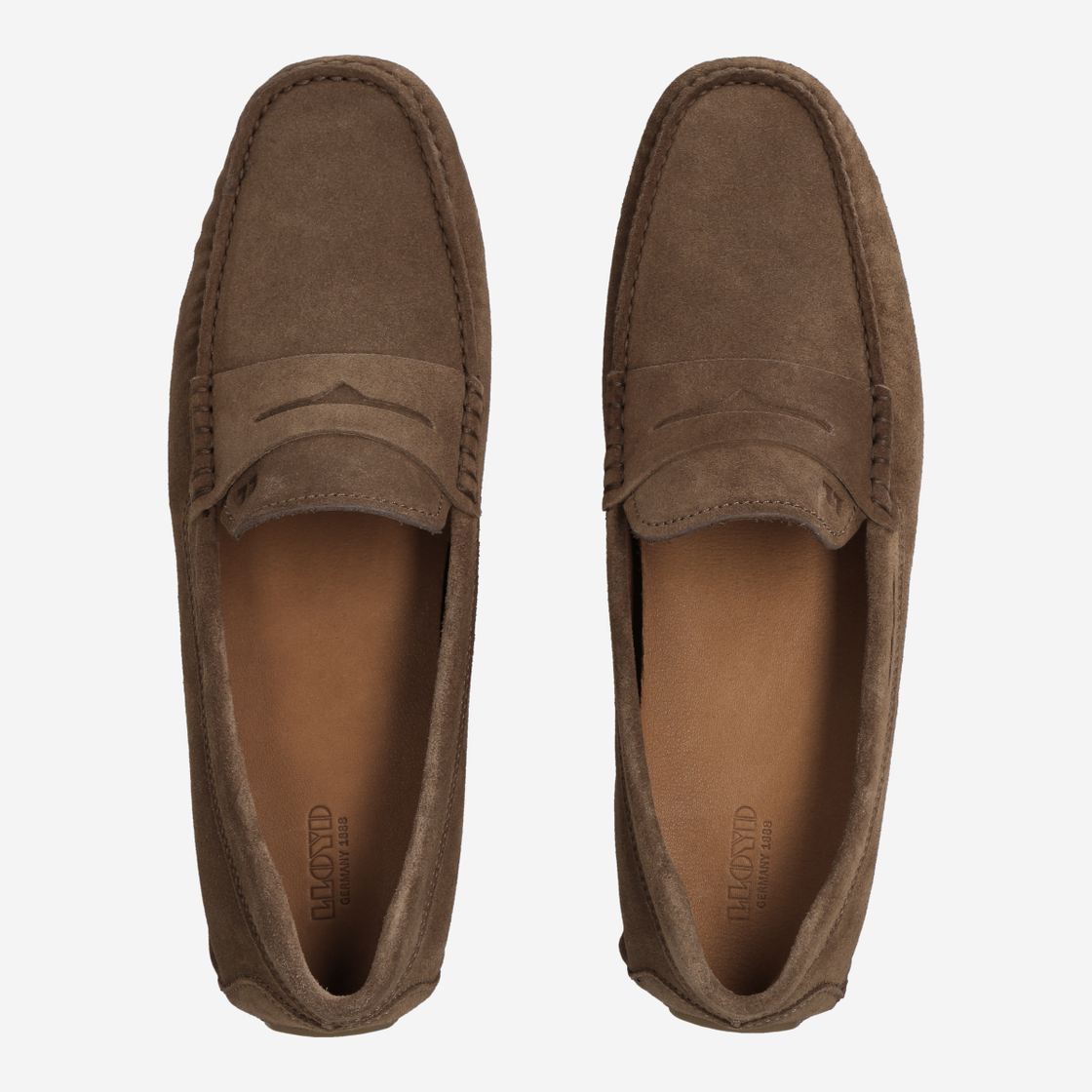 Lloyd ELJOS - Nut brown / Brown - Back view
