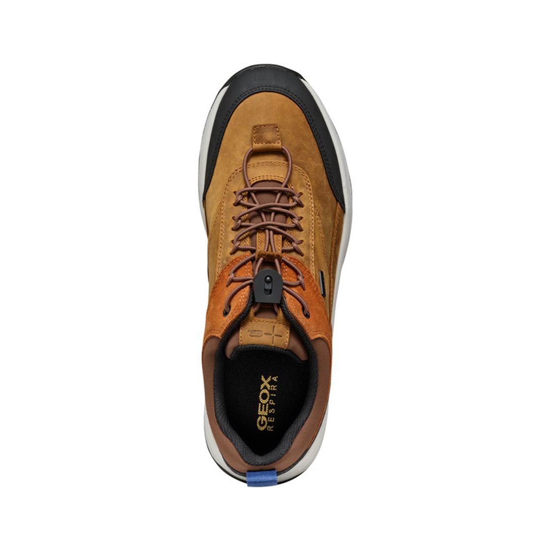 Geox STERRATRAIL - Brown combined - Sole