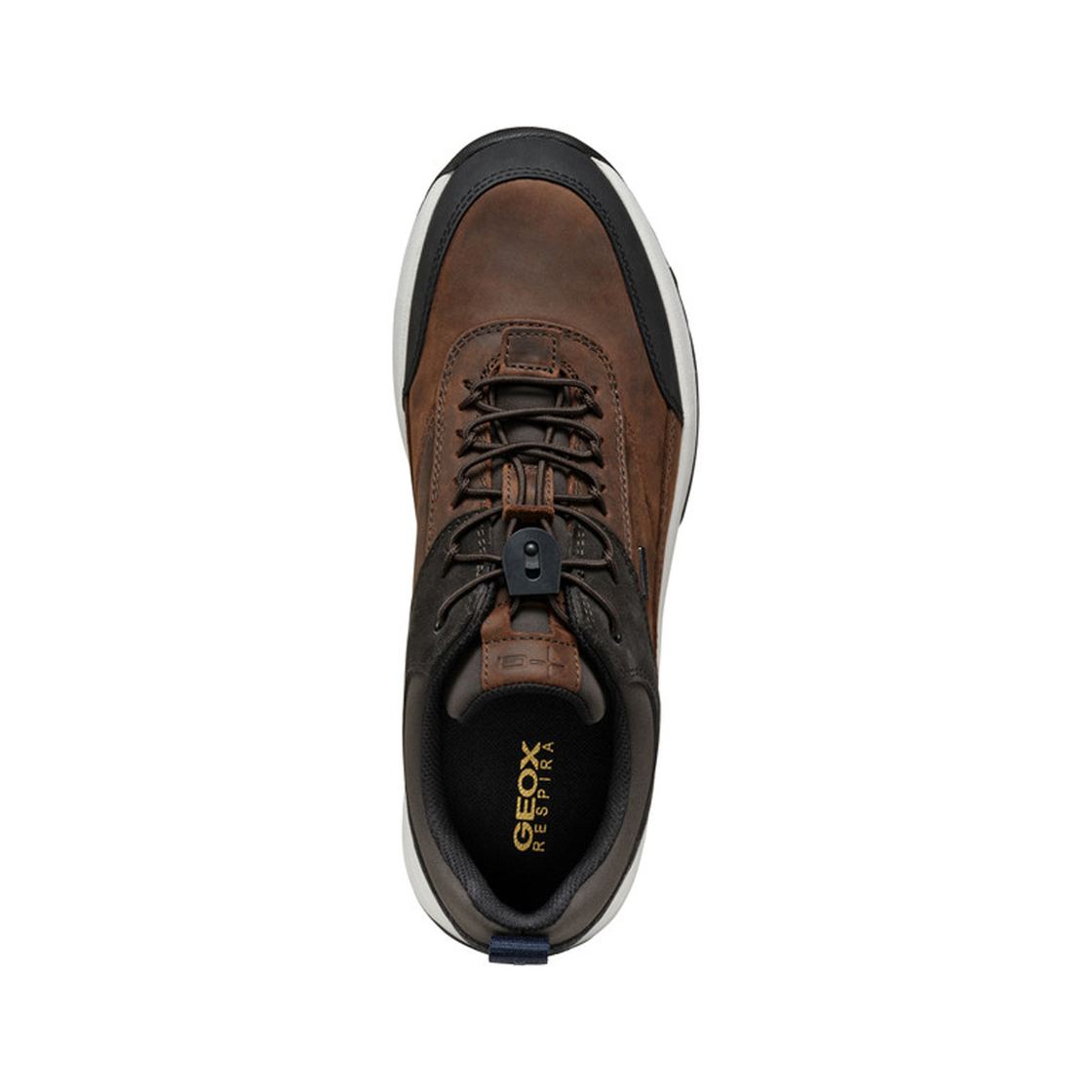 Geox STERRATRAIL - Brown combined - Sole