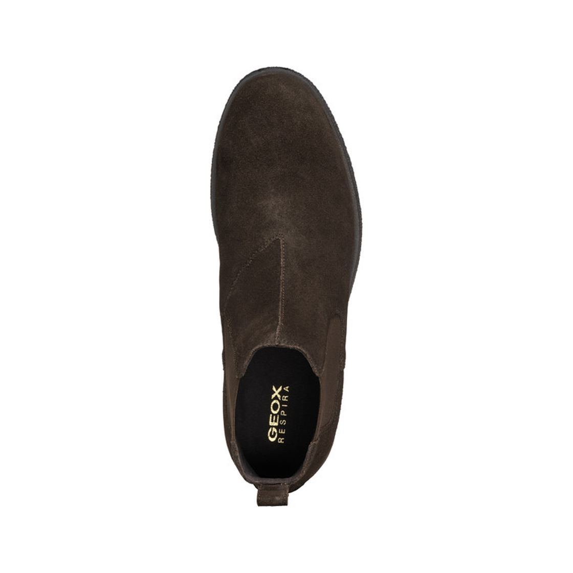 Geox CLAUDIO - Brown, dark - sole