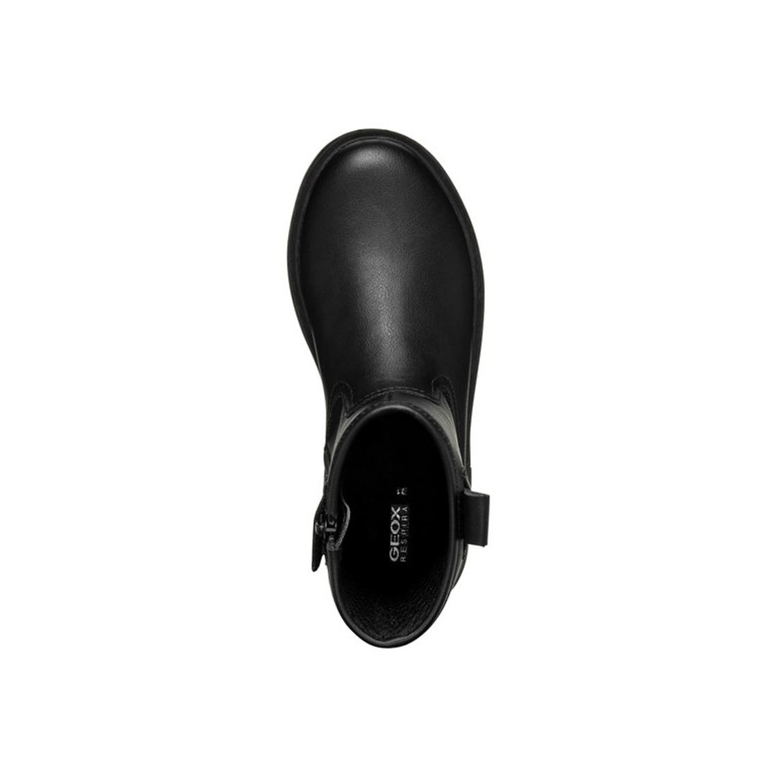 Geox ECLAIR - Black - Back view