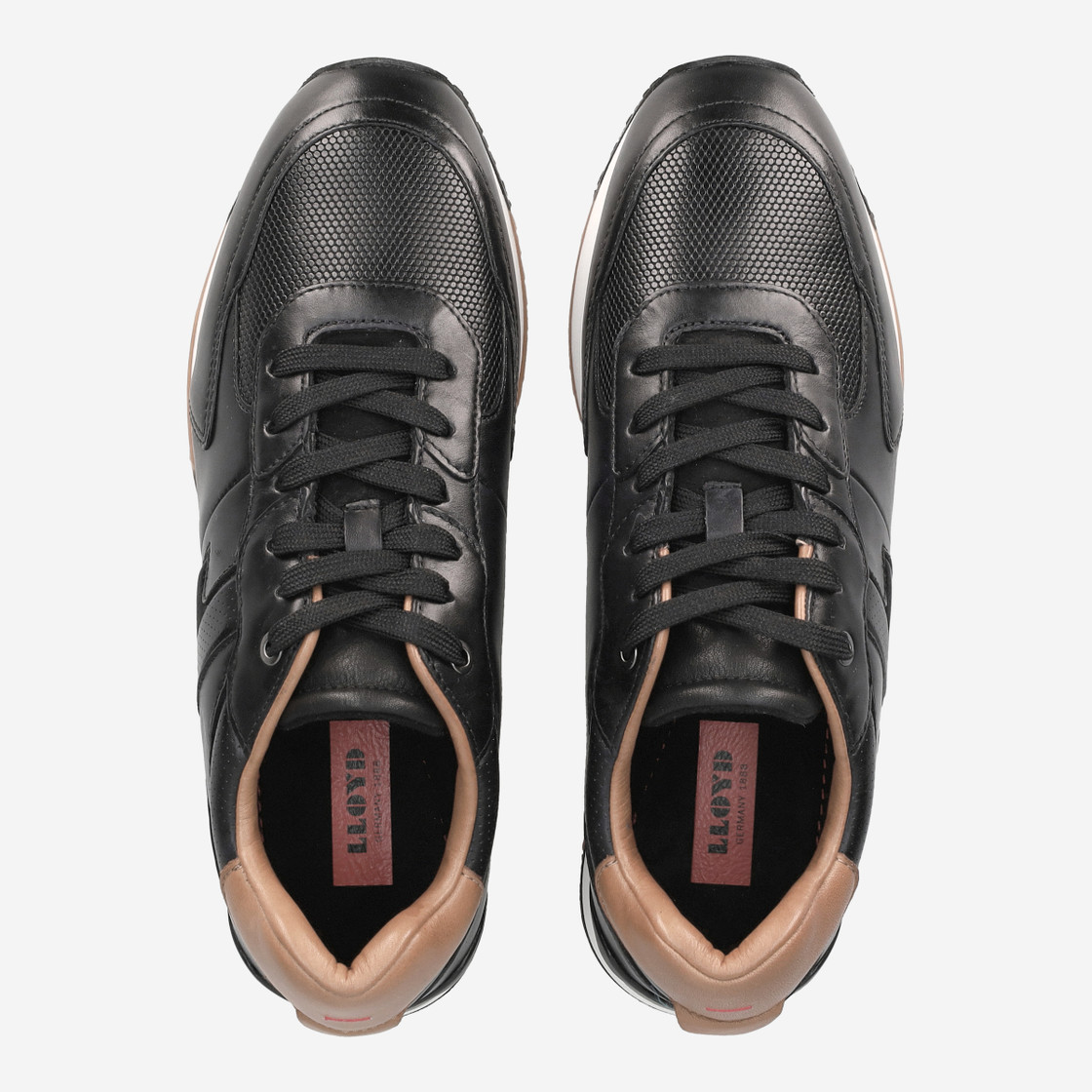 Lloyd ENOS - Black - Rear view