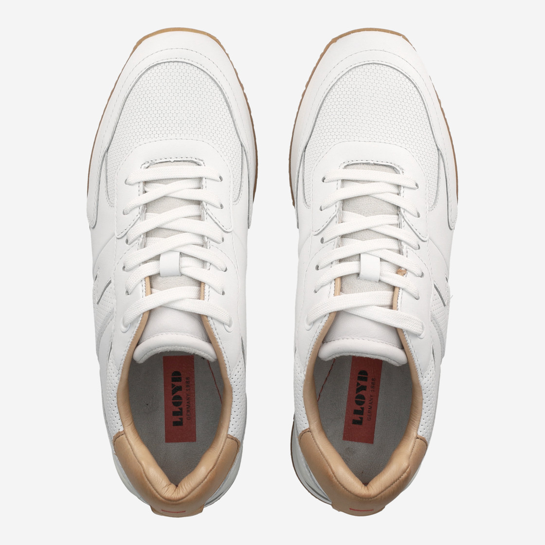 Lloyd ENOS - White - Rear view