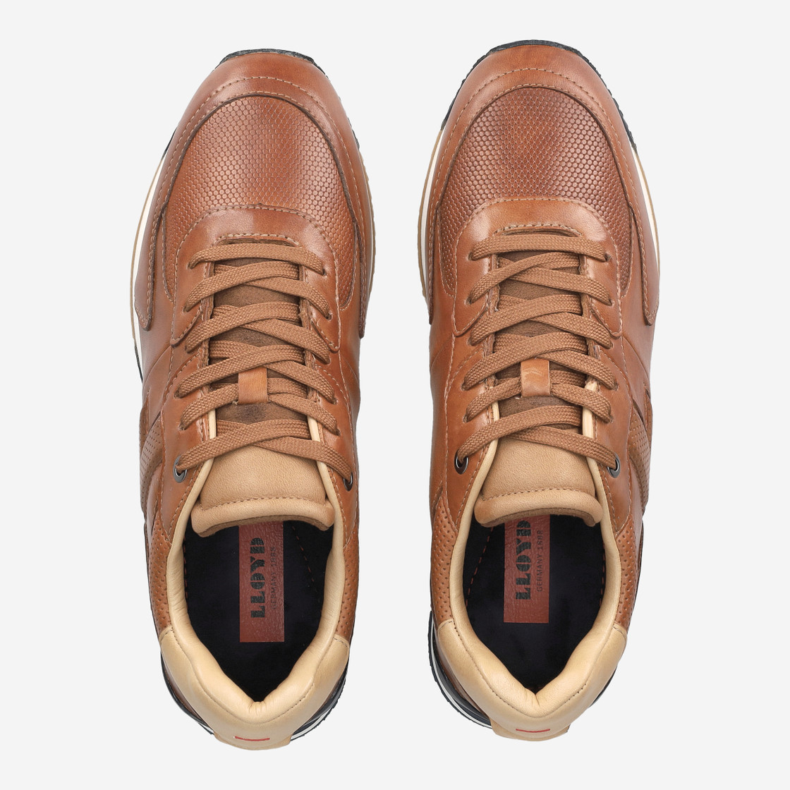 Lloyd ENOS - Brown - Back view