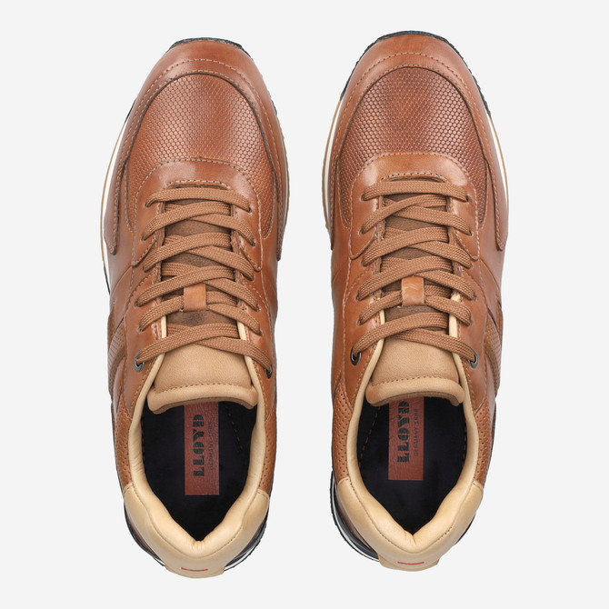 Lloyd ENOS - Brown - Back view