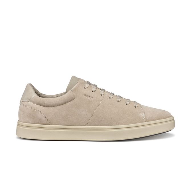 Geox BALTMOORE - Sand/ Beige - Back view