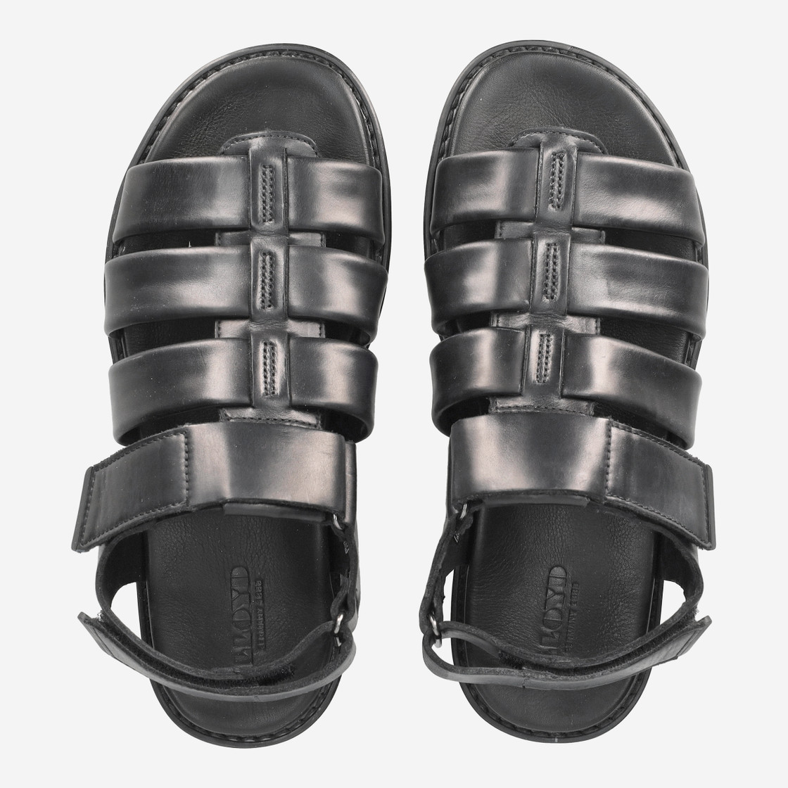 Lloyd EMORY - Black - Rear view