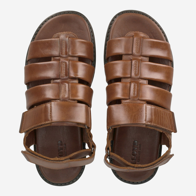 Lloyd EMORY - Brown - Back view