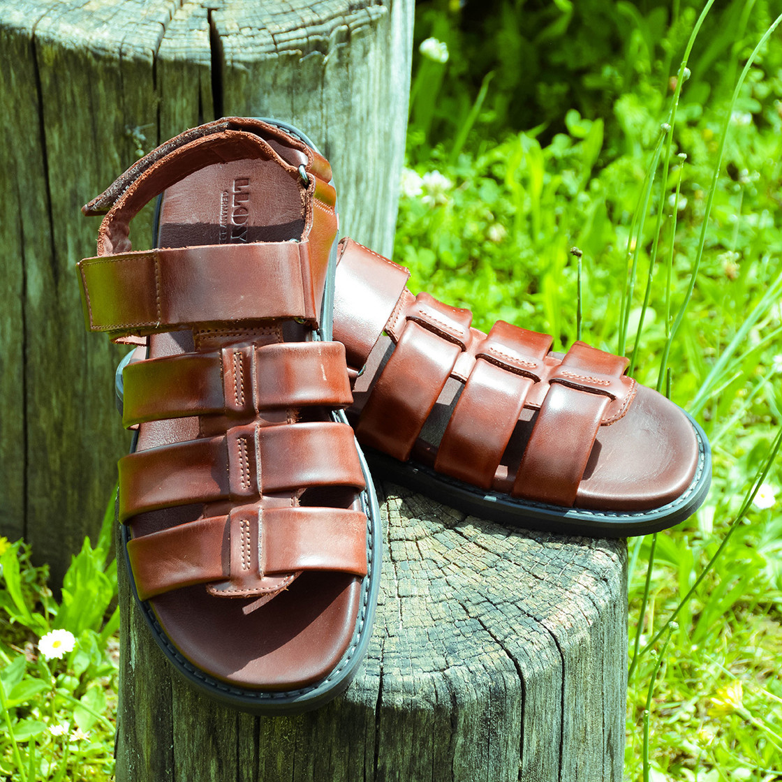 Lloyd EMORY - Braun - Seitenansicht