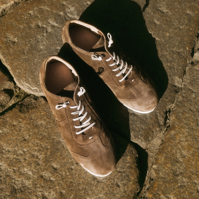 Donna Carolina ANYA ENERGY - Braun