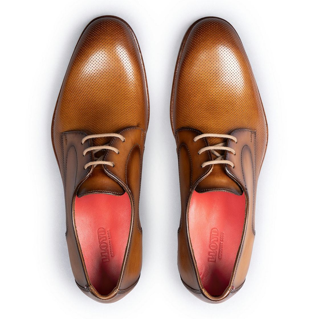 Lloyd RAPPORT - Brown - Sole