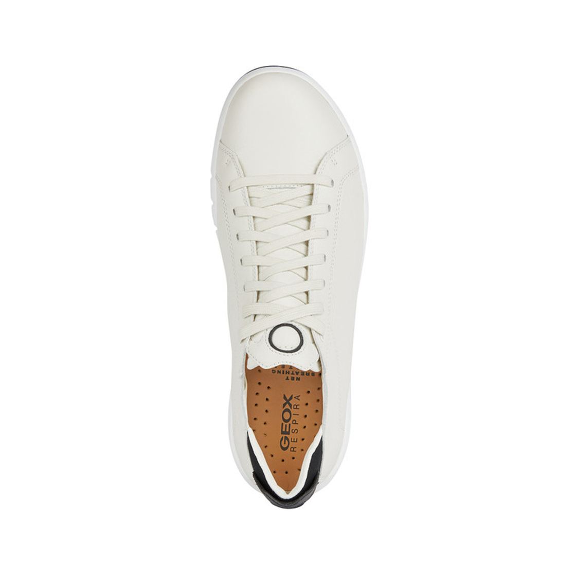 Geox AERANTIS - White - Sole