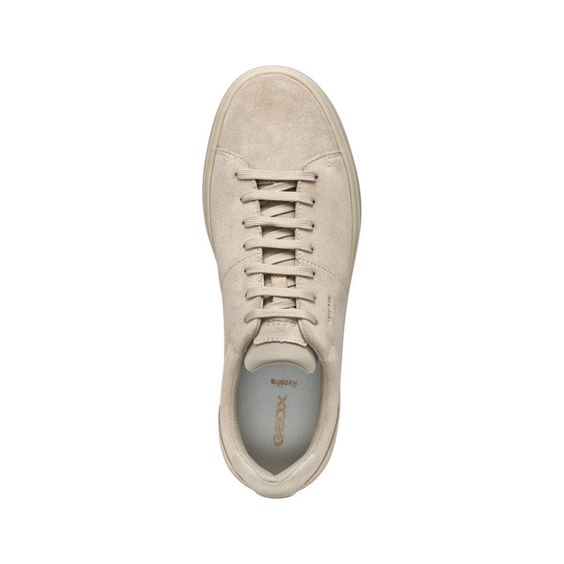 Geox BALTMOORE - Sand/ Beige - Sole