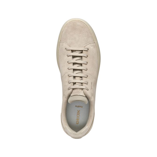 Geox BALTMOORE - Sand/ Beige - Sole