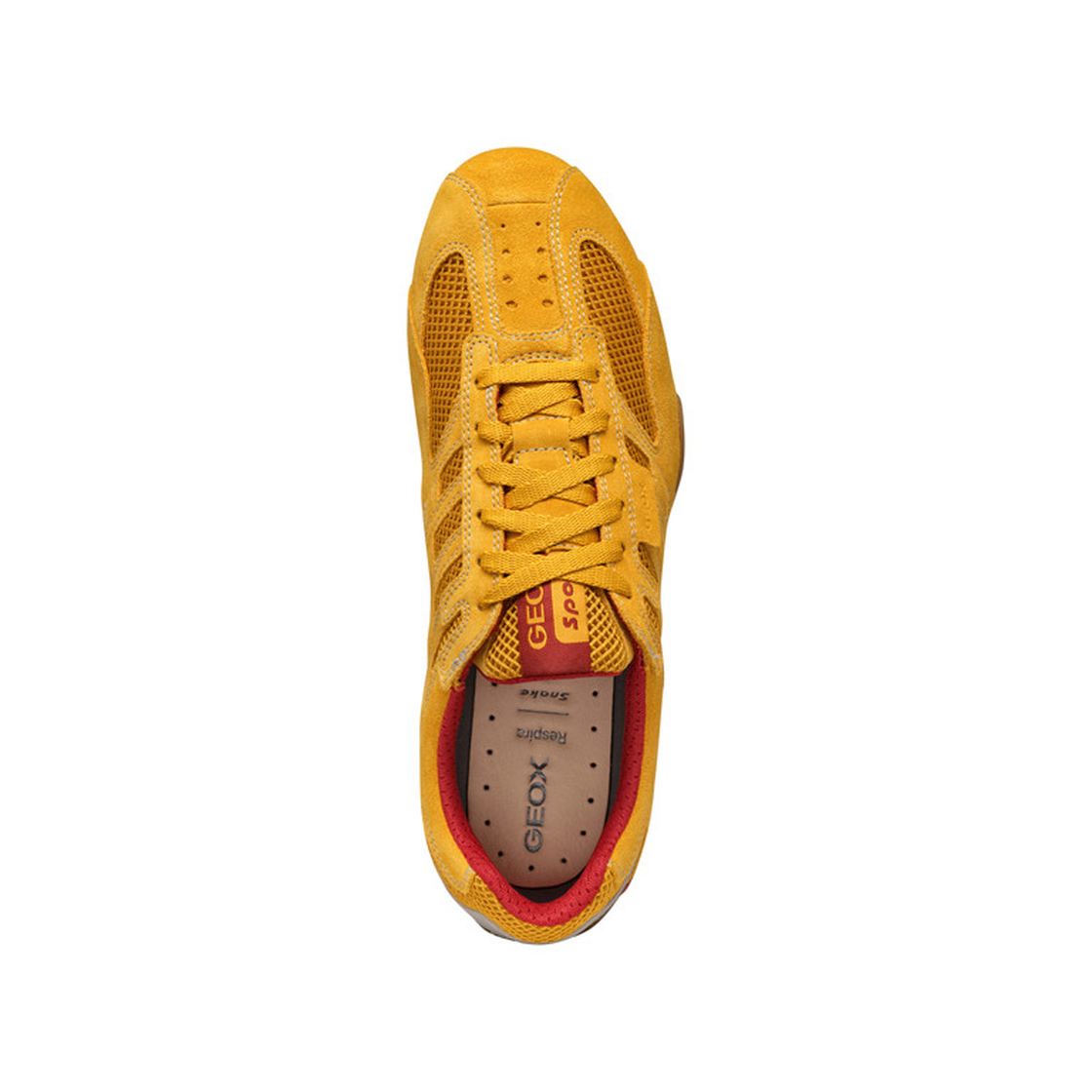 Geox SNAKE - Yellow - Sole