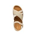 Geox XAND - Taupe/ Beige - Sole