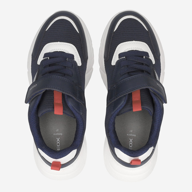 Geox LOFTUS - Blue - Sole