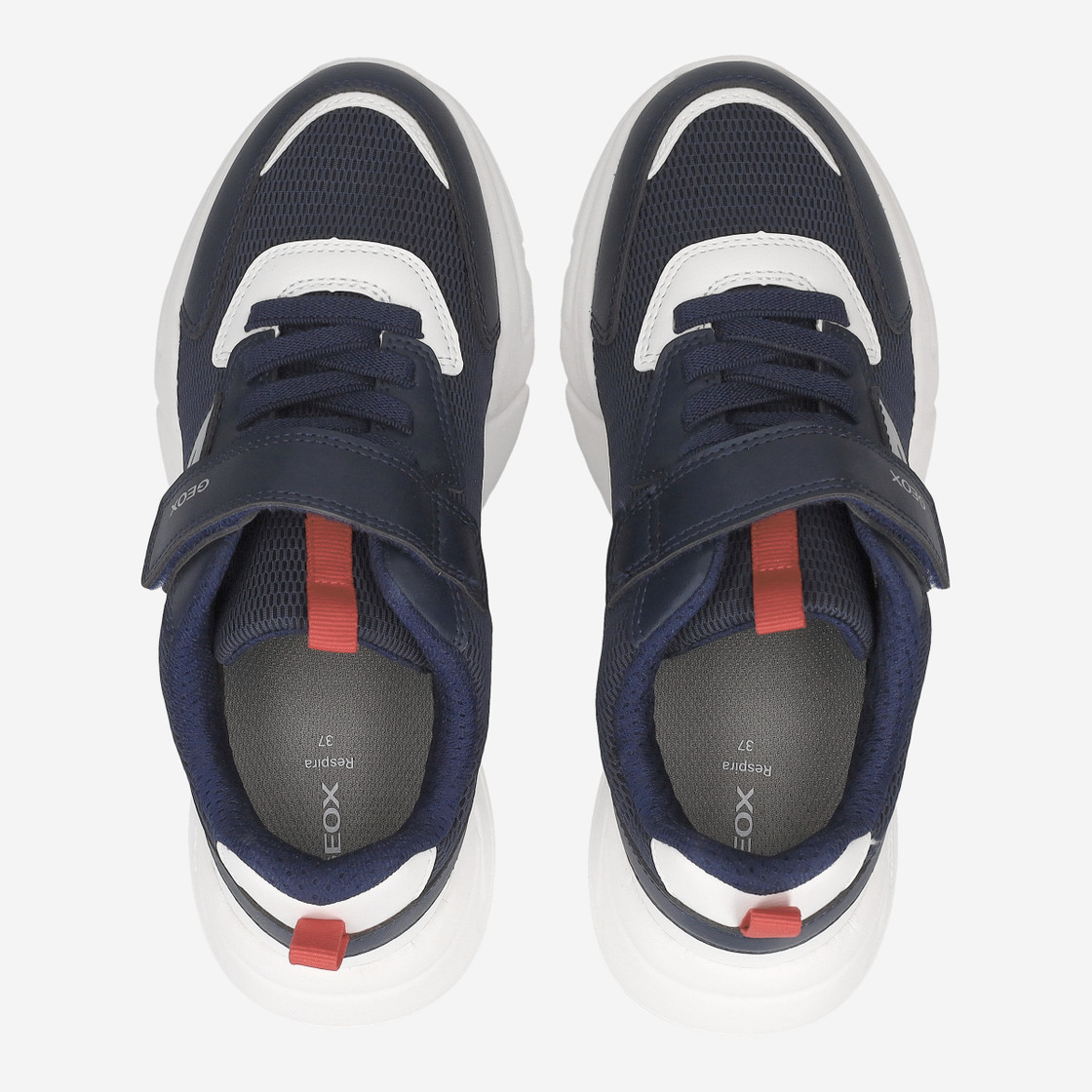 Geox LOFTUS - Blue - Sole