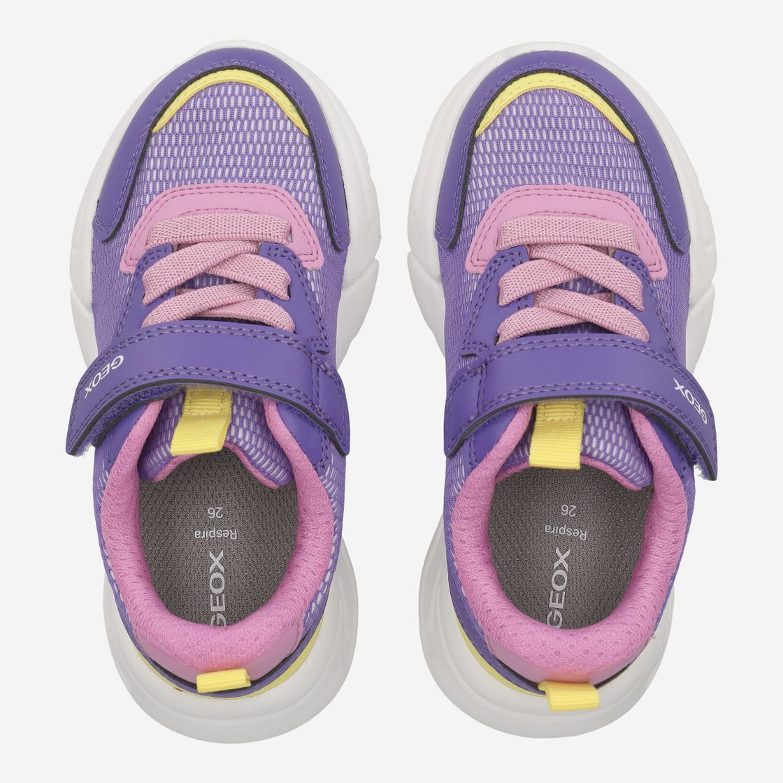 Geox LOFTUS - Purple - Sole