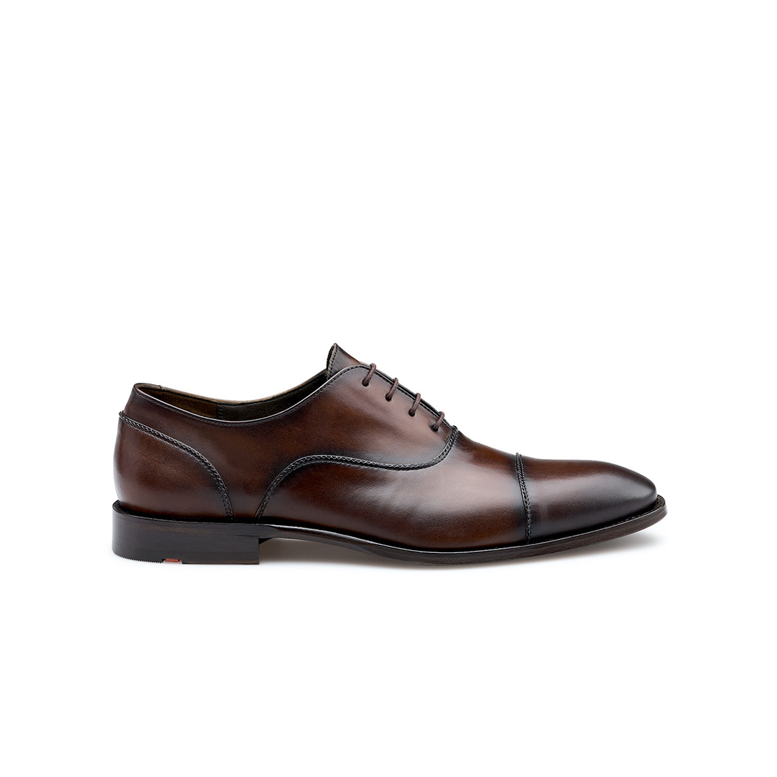 Lloyd NOBEL 150 - Brown - Back view