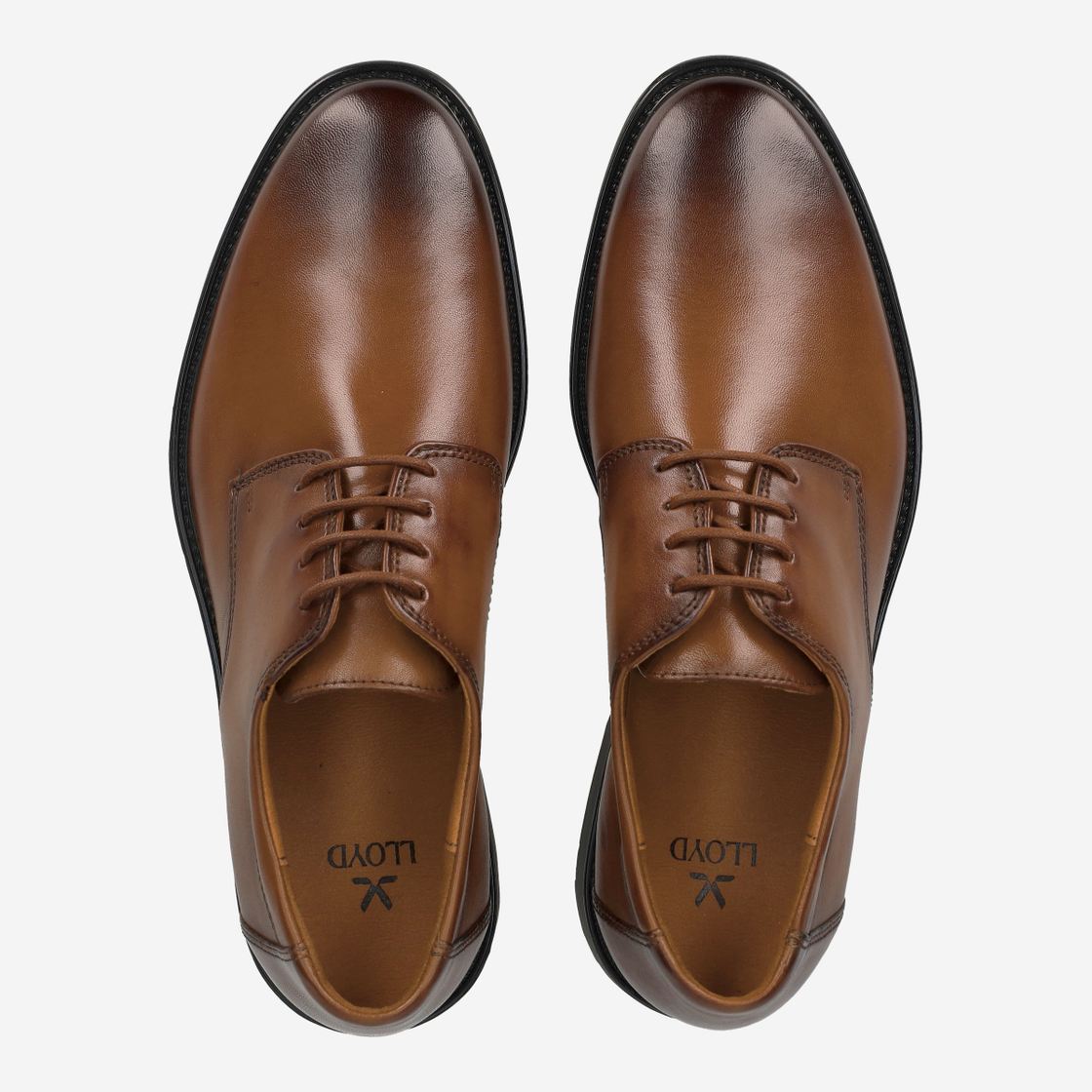 Lloyd CORE 110 - Brown - Back view
