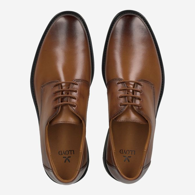 Lloyd CORE 110 - Brown - Back view