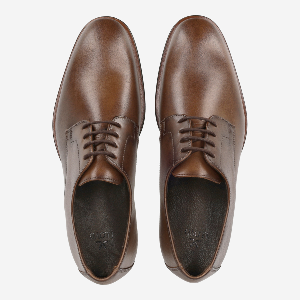 Lloyd 25-506-22 CORE PLUS 110 Lace-up shoes in brown buy online