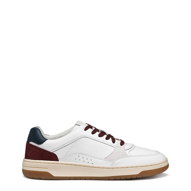 Geox SEDRAL COURT - White,combined - Back view