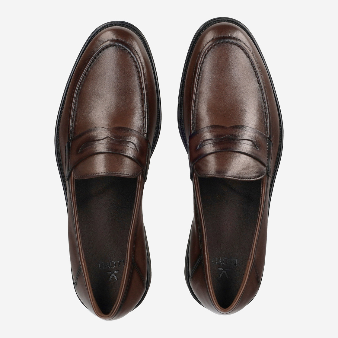 Lloyd CORE 240 - Brown - Rear view