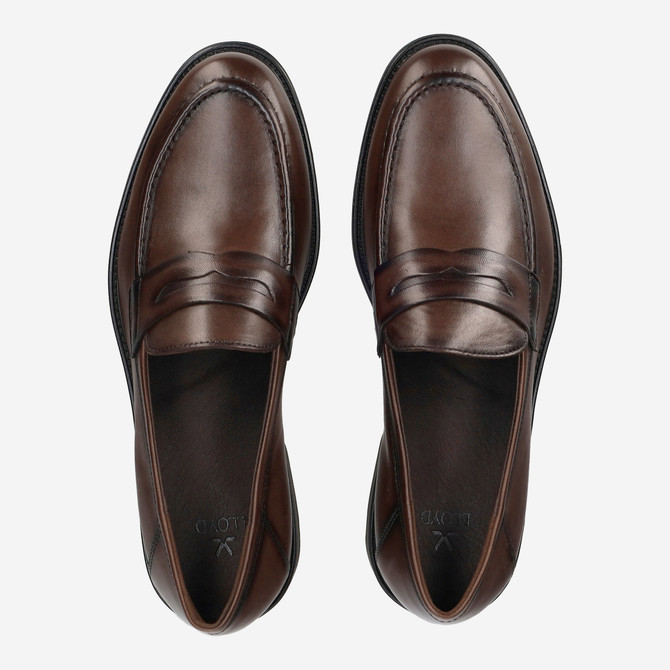 Lloyd CORE 240 - Brown - Rear view