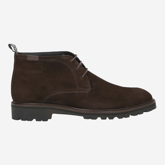 Floris van Bommel STURDI - Brown - Back view