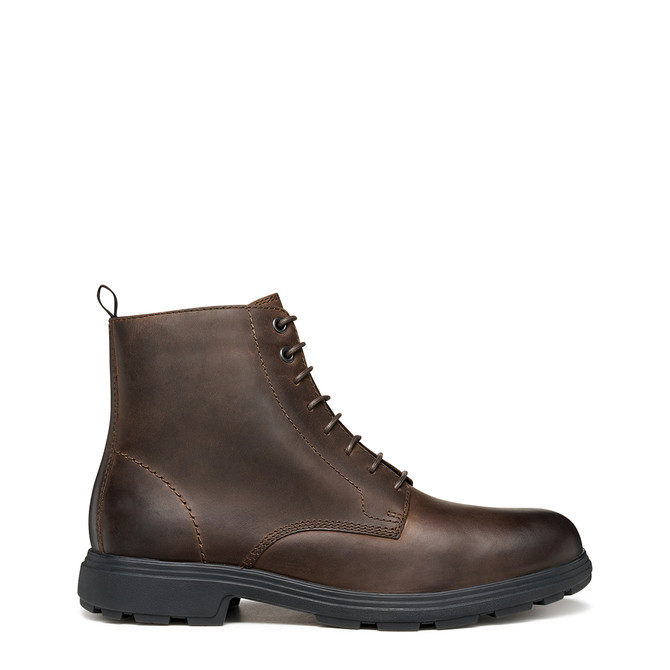 Geox MEIERN - Brown - Back view