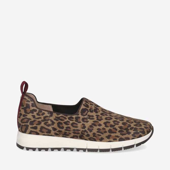  74703 - Brown / Leo look - Back view