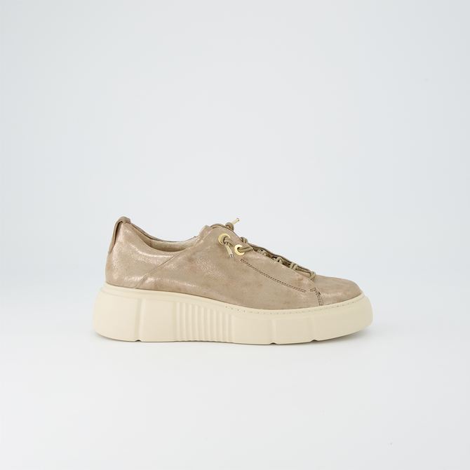 Paul Green 5418-088 - Beige, gold-metallic - Back view