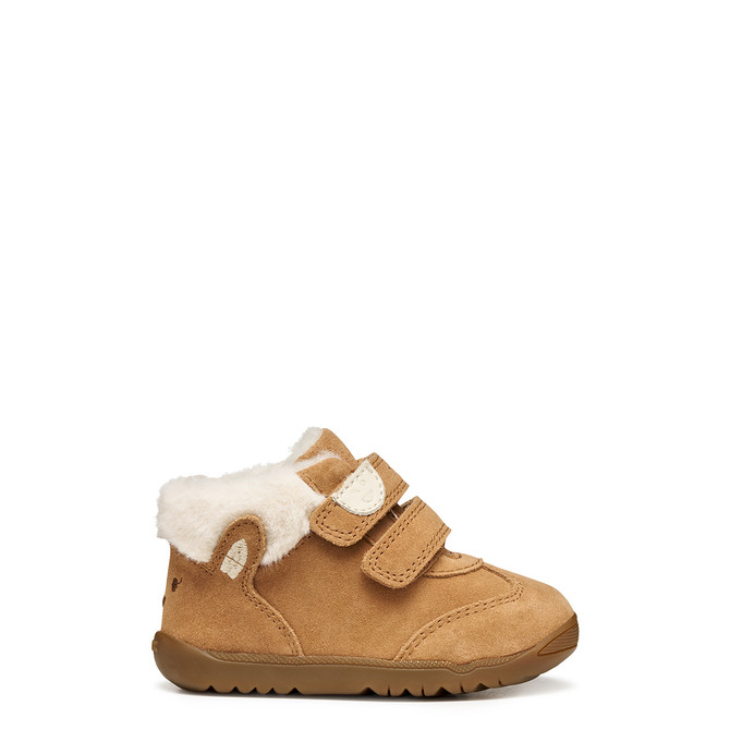 Geox MACCHIA - Brown - Back view