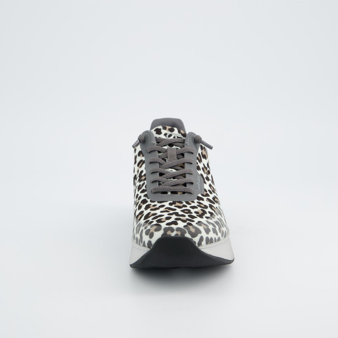 tenhaag 0005 - gray / leo look - front view