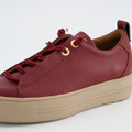 Paul Green 5017-430 - Red