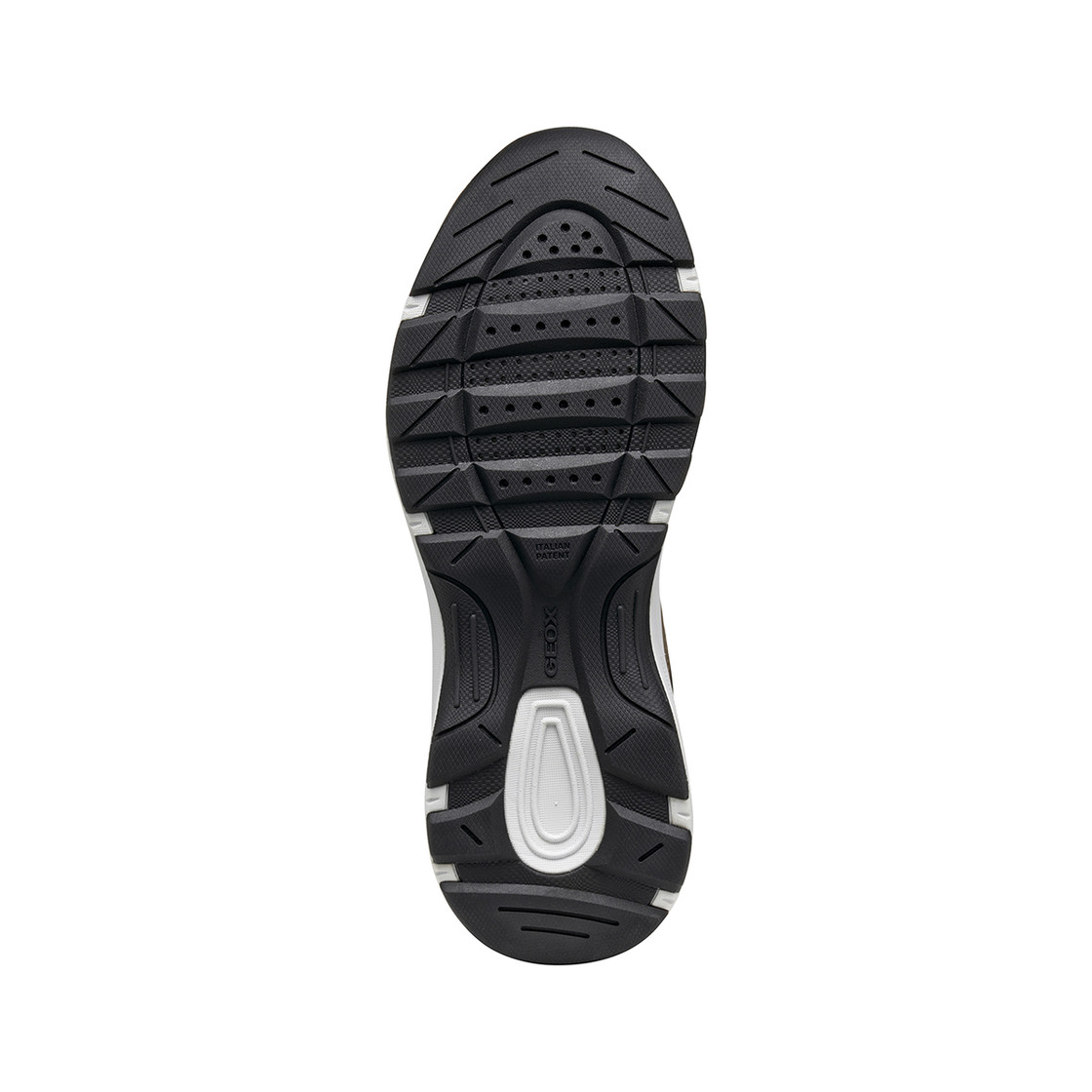 Geox SENALES - Brown - Top view