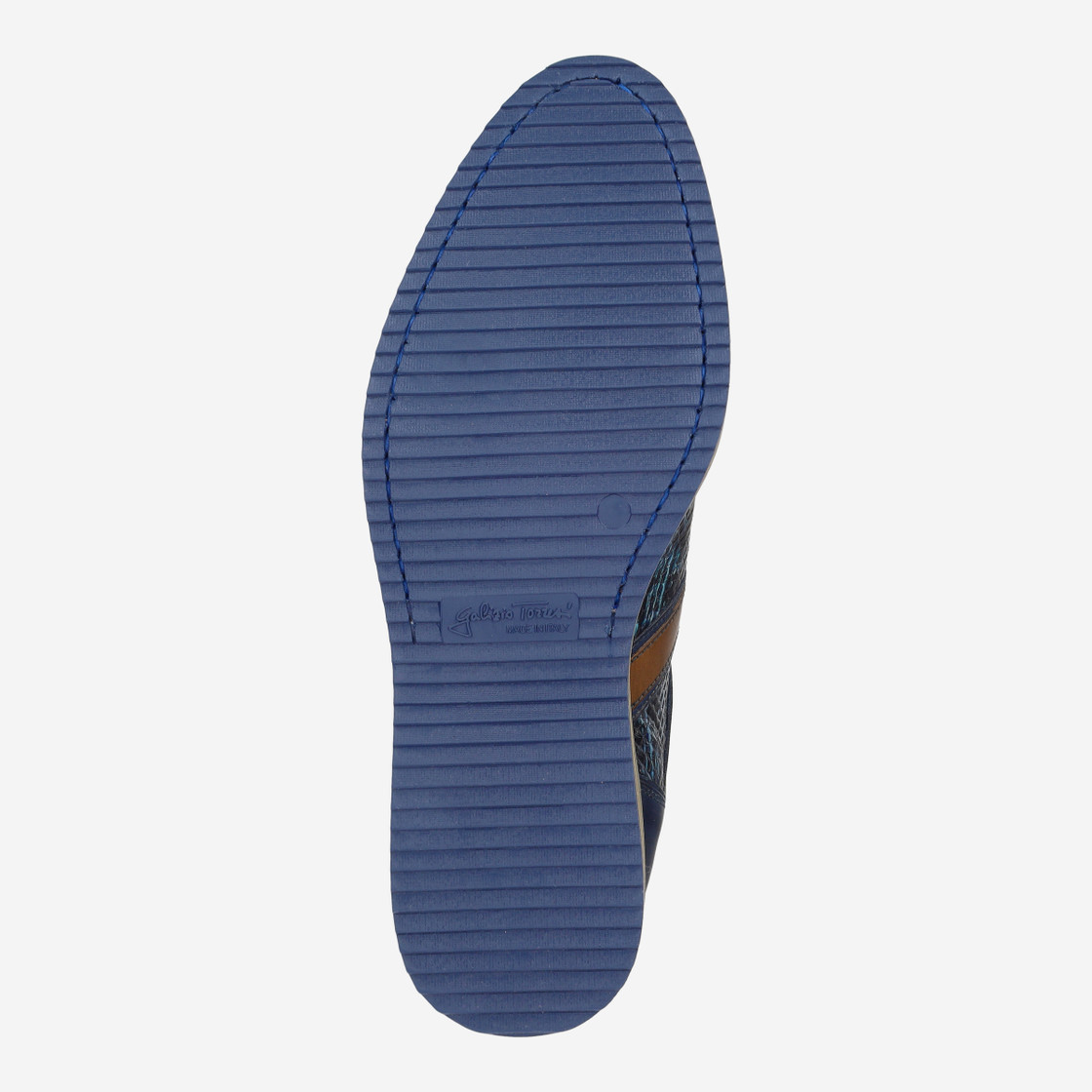 Galizio Torresi 312938 V7059 - Blue - Top view