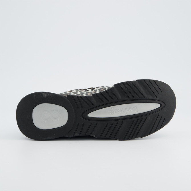 tenhaag 0005 - gray / leo look - top view