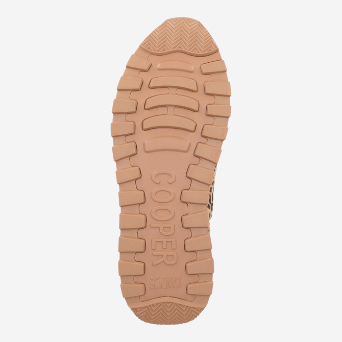 Candice Cooper PLUME 5 - Brown / Leo look - Top view