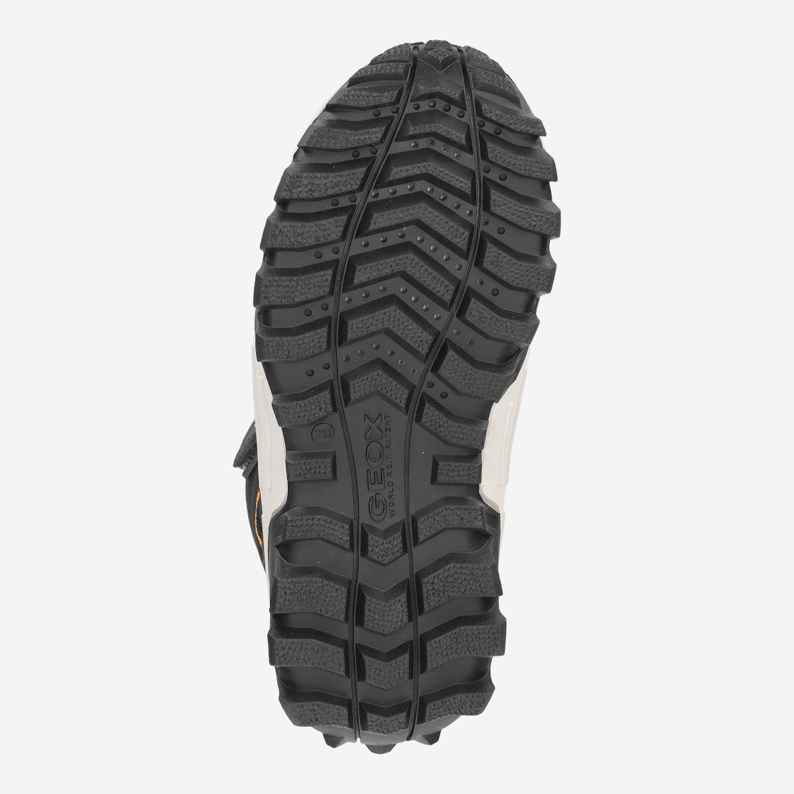 Geox HIMALAYA - Blue - Top view