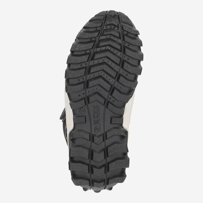 Geox HIMALAYA - Blue - Top view