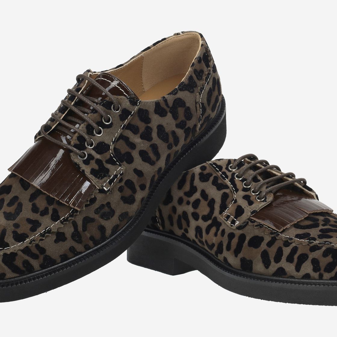 Donna Carolina DAMA FITZY - Brown combined - special image