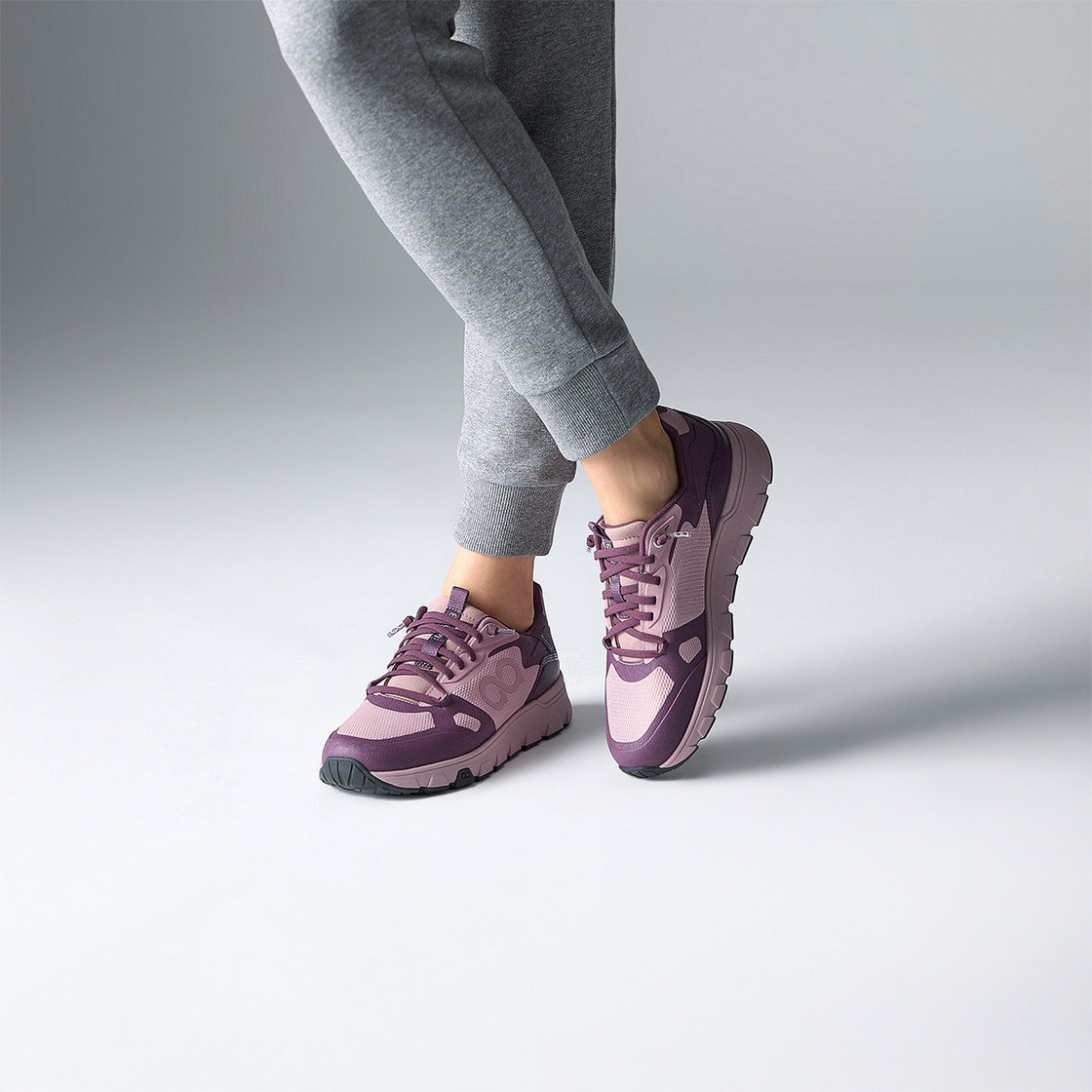 tenhaag stormhaag - Purple - Special picture