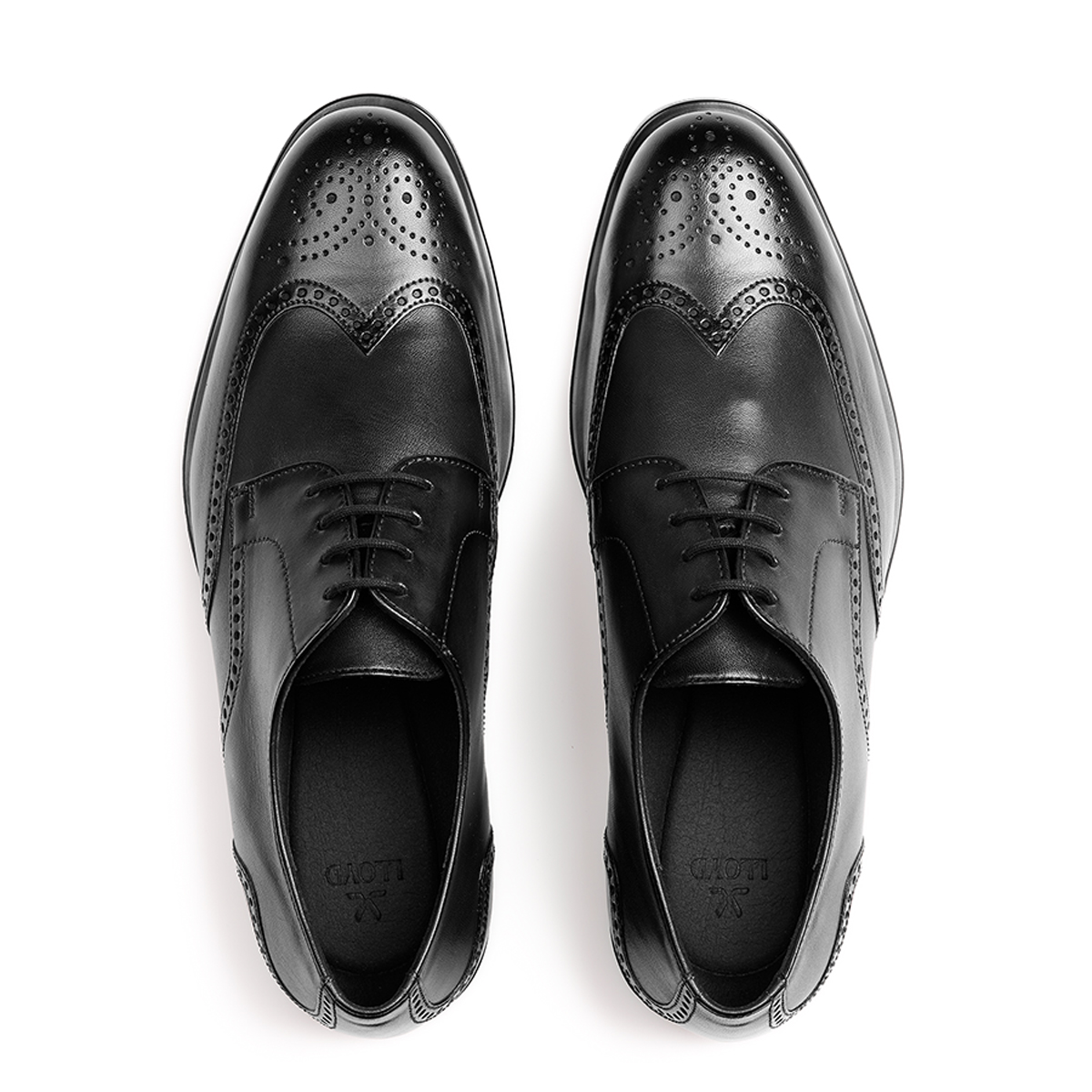 Lloyd 25-521-00 EEZY 140W Lace-up shoes in black buy online