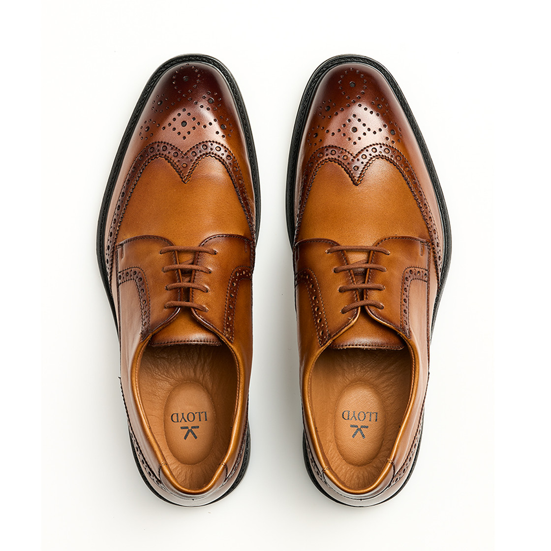 Lloyd X-MOTION 140 - Brown - Sole