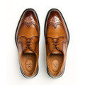 Lloyd X-MOTION 140 - Brown - Sole